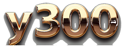 y300 logo
